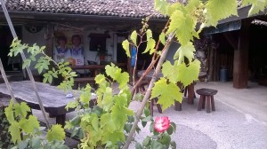 IMG-20160728-WA0005